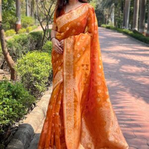 Orenge organza Silk Sarees