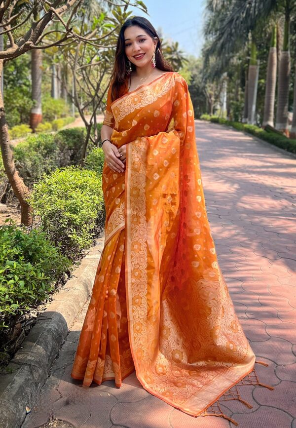 Orenge organza Silk Sarees